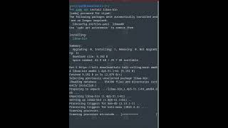 No real fireplace? Burn your terminal instead! 🔥🤯 #linuxfun #terminal #terminalfun