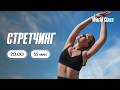 СТРЕТЧИНГ с Еленой Жиляевой | 21 июня 2026 | Онлайн-тренировки World Class