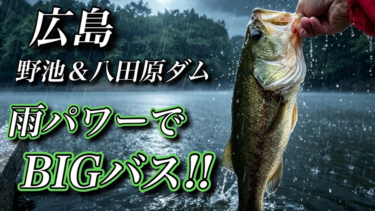 【バス釣り】雨の力で爆釣なるか！？秋なので巻きます！