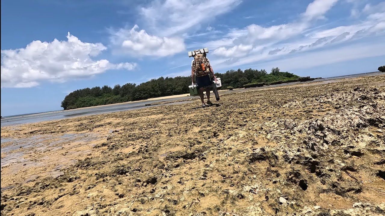 島を釣る YouTube