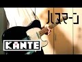 【ハヌマーン】「ワンナイト・アルカホリック」のギターを弾いてみた (guitar cover)