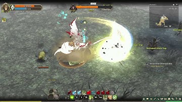 Tree of Savior CBT - Merge Boss Fight Solo at Altar Way with 117 Paladin