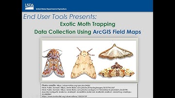 Exotic Moth Trapping Surveys Data Collection using ArcGIS Field Maps (ExM)