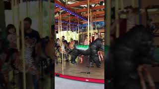 Carousel At The Zoo