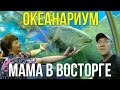 РОДИТЕЛИ В ОКЕАНАРИУМЕ - ЭТО НАДО ВИДЕТЬ | ПАТТАЙЯ, ТАЙЛАНД ☼