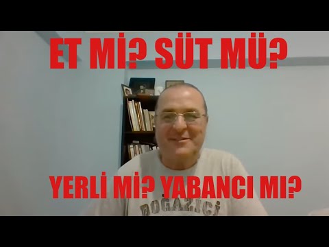 Video: Yatırımım: Damızlık Sürüngenlerin Maliyeti