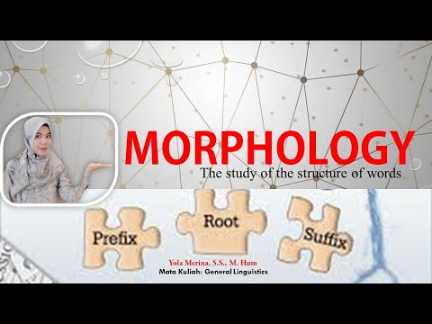 Video: Kata-kata apa yang memiliki akar kata morph?