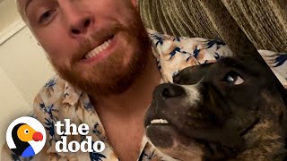 Woman Brings A Stray Pittie Home To Her Husband | The Dodo