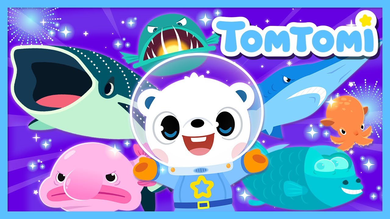 ¿Qué Animales Viven en el Fondo del Mar? 🌊🦑 | Canción de Animales Marinos #TOMTOMI en Español