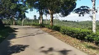 mapay jalan satapak pop Sunda. vidoe kebun teh taraju