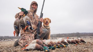 My Last Duck Hunt of the Season.. Stud Mallards with My Dog Fred