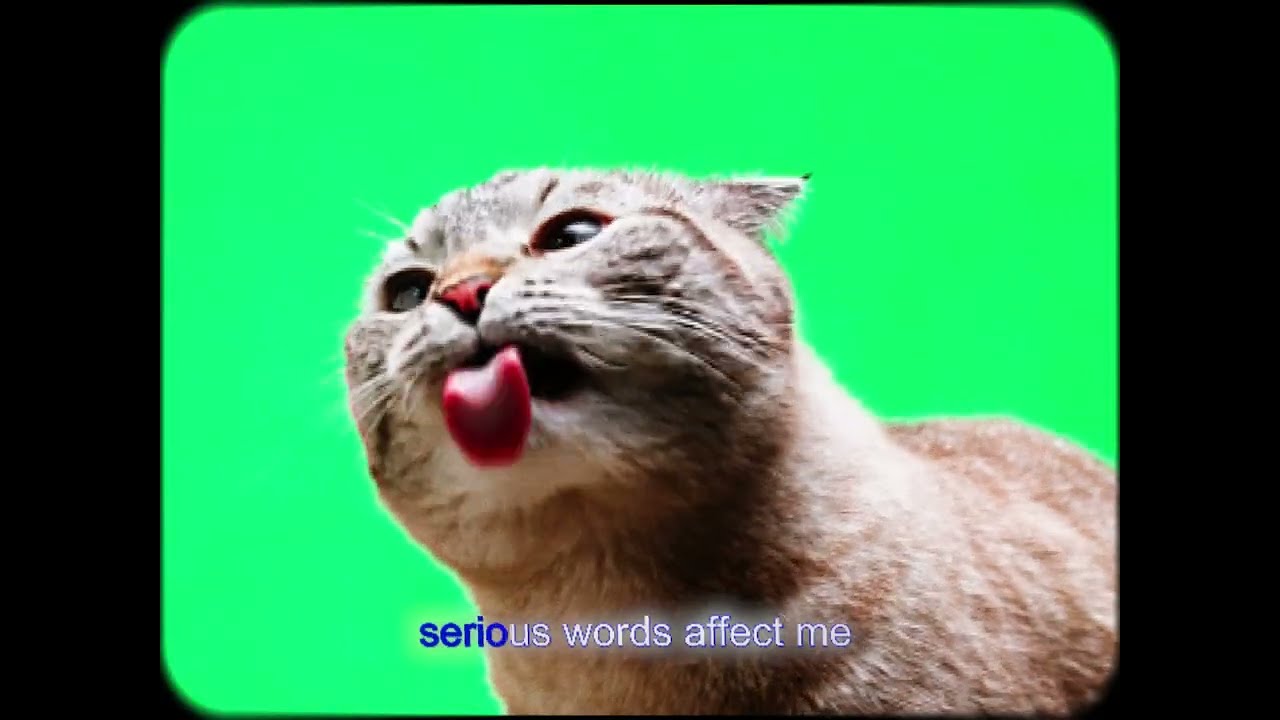 Watch Montevideo - Small talk (karaoclip) on YouTube Watch Montevideo - Small talk (karaoclip) on YouTube