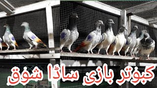 kabooter bazi| Torament key tayre|pigeon 6-7-2020 ke parwaz |pigeon lover waheed| Jahlum pinanwal|