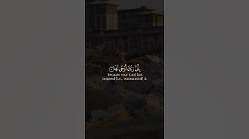 سورة الزلزلة بصوت اسلام صبحي #القرآن_الكريم #قرآن #shortvideo #اسلام_صبحي #زلزال #زلزال_تركيا