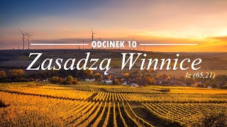 Zasadzą Winnice (Iz 65,21) odc.10