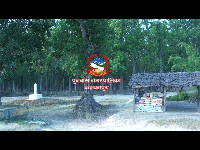 पुनर्वास नगरपालिका, कञ्चनपुर | Punarbas Municipality, Kanchanpur l Documentary l Sudurpaschim Nepal class=