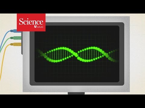 Video: About 500 Human Genes Become More Active After Death! - Alternative View