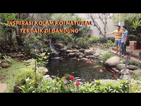 KOLAM KOI NATURAL TERBAIK YANG ADA DIBANDUNG !!! BONGKAR HARGA BIAYA PEMBUATAN KOLAM KOI NATURAL !!!