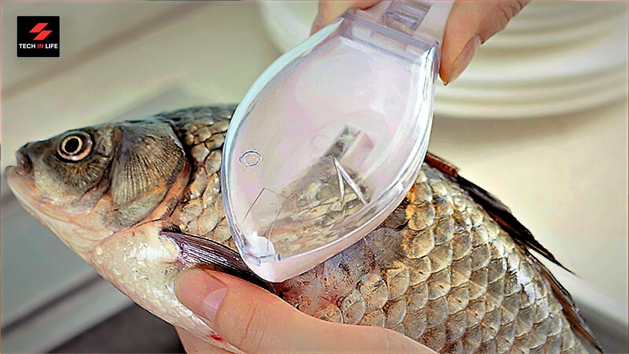 11 незаменимых кухонных гаджетов, которые сделают вашу жизнь проще! Must Have Kitchen Gadgets