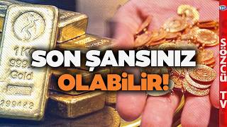 Will D Rise Again? Why Did D Crash? A Striking D Ysis From A Renowned Economist.