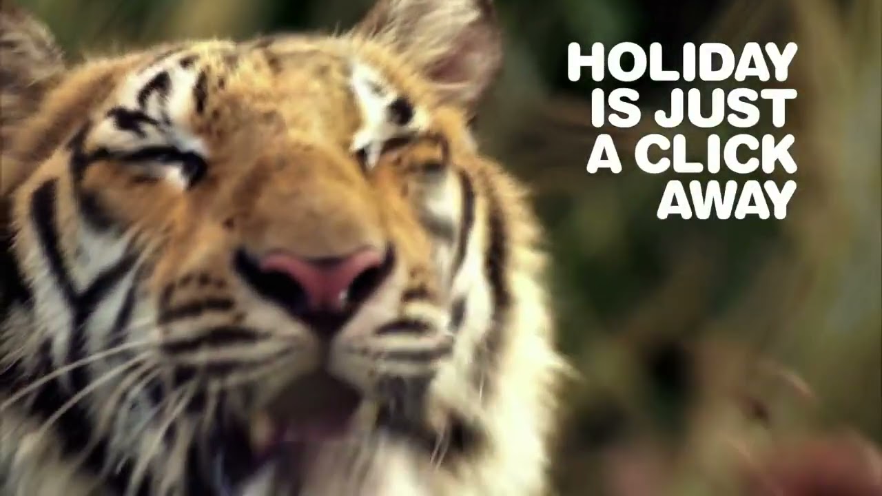Sumatra is just a click away