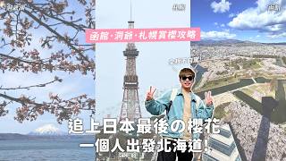 追上日本最後的櫻花🌸 北海道函館&amp;洞爺湖&amp;札幌獨旅攻略🙌🏻｜五稜郭公園•函館山•北海道神宮•円山公園•諏訪神社•北海道大學•中島公園｜Vincent跟著文森一起玩