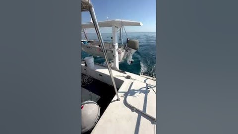 Can’t believe she done that #reels #shorts #love #beautiful #sailing #ocean #viralshorts #new #viral