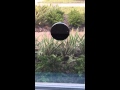 DOBERMAN SECURITY Ultra Slim Window Alarm With Loud 100dB Alarm And Vibration Sensors 