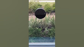 DOBERMAN SECURITY Ultra-Slim Window Alarm with Loud 100dB Alarm and Vibration Sensors