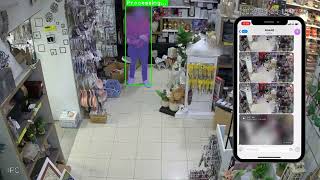 Demo Shoplifting Detector by anavid