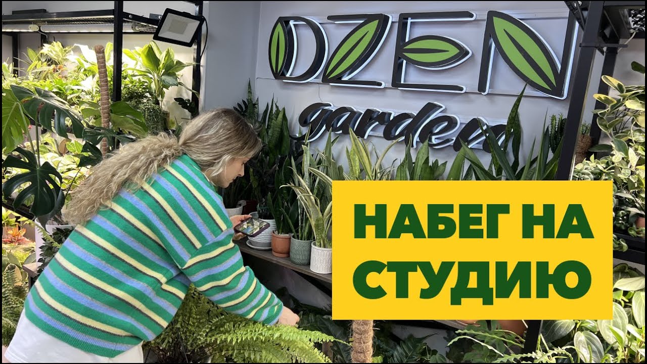 Набег на студию » Обход и оценка состояния растений