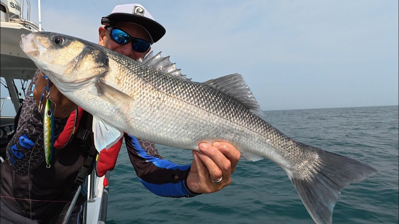 Second drop! My jig catches huge bass! Boat fishing over ship wreck near Torbay, mixed speed jigging