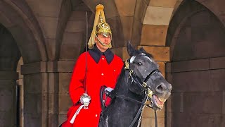 I LOVE IT HERE! HUGE King's Horse REFUSES to leave Horse Guards  and wins!