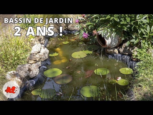 Installer un bassin de poisson dans le jardin - Maman Bon Plans