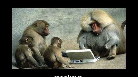 The Three Rules of the internet | Song A Day #10