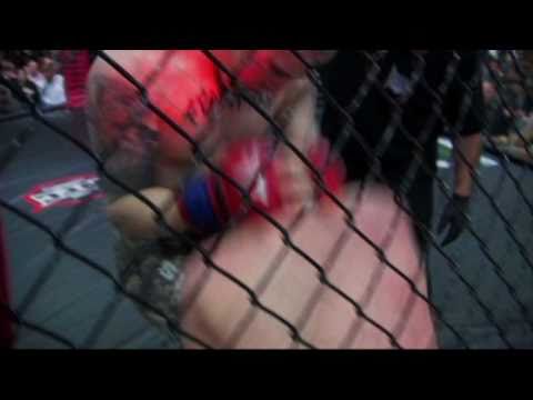 Warrior Fighting Championship: Aftermath