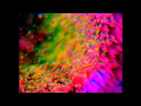 WITS / WITZ - YouTube