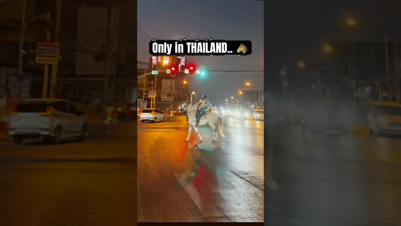 Only in Thailand is normal to see 🐴🚦