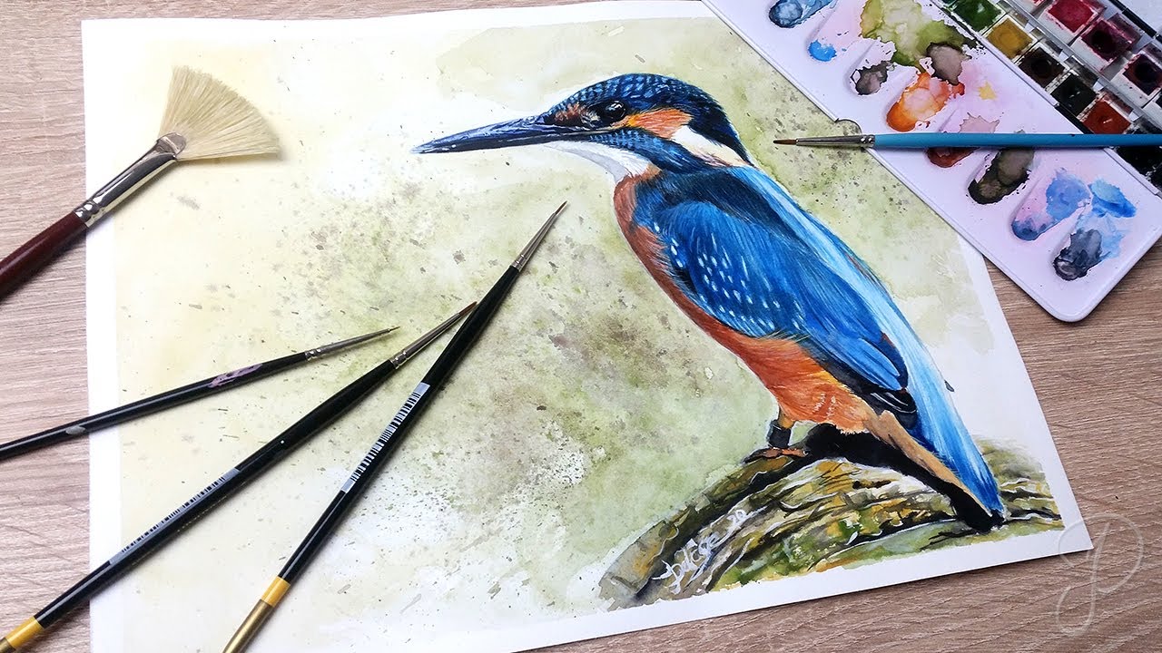 Kingfisher | Jon Tremaine JT CS5