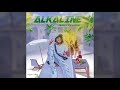 Alkaline Nah Fi Like Official Audio mp3