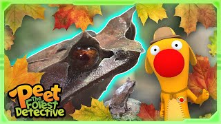 Mysterious Horned Insect Hunter Full Episode Cartoons For Kids Peet The Forest Detective