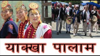 नयाँ याक्खा भाषा को भिडीयाे  palam  याक्खा पालम  Yakkha Palam video