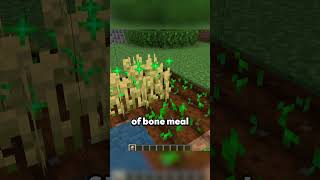 Super Fertilizer - Only in Minecraft Education Edition