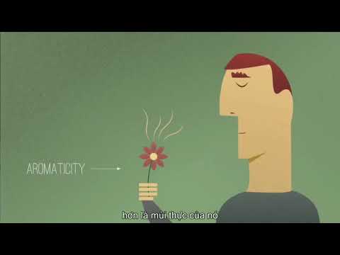 Công thức cấu tạo và tính chất vật lí của Benzen - youtube