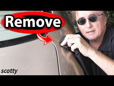 How to Remove Tree Sap and Bird Poop from Car Paint - The Right Way