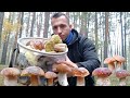 🌧️ Шикарні Білі Гриби під Дощем — Блищать, Наче Зіроньки у Нічному Небі! 🍄✨