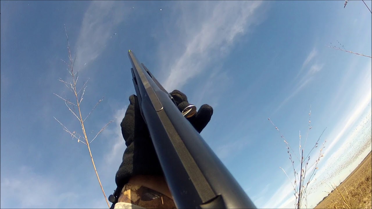 Texas Sandhill Crane hunt with Avian Skies outfitters 2018 YouTube