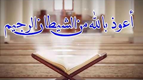 أجمل تلاوة حجازية للقارئ || حماد عزي حفظه الله