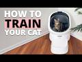 How to Train Your Cat to Use Litter-Robot | Beginner Guide
