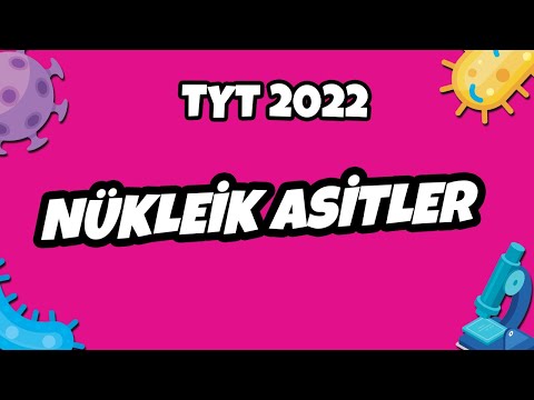 Nükleik Asitler | TYT Biyoloji 2022 #hedefekoş